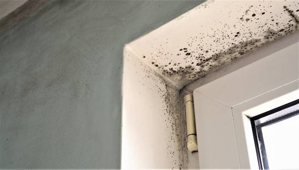 Best Indoor Air Quality Assessment  in Tri City, OR