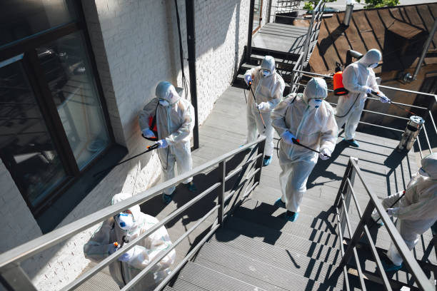 Asbestos and Lead Testing During Mold Inspection in Tri City, OR