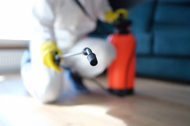 Best Black Mold Removal  in Tri City, OR