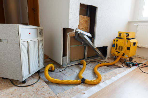 Best Mold Damage Restoration  in Tri City, OR