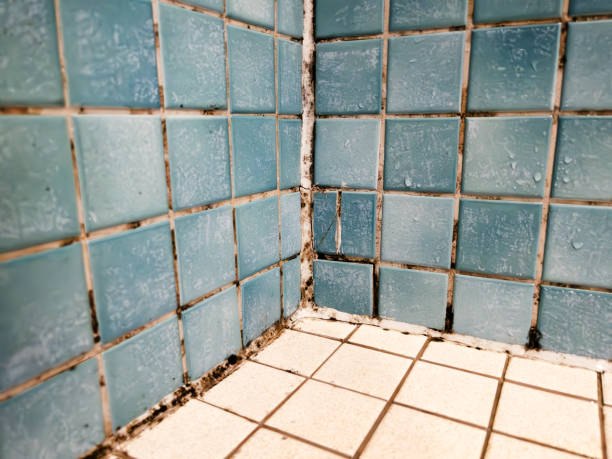 Best Airborne Mold Testing  in Tri City, OR